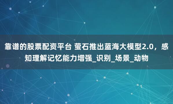 靠谱的股票配资平台 萤石推出蓝海大模型2.0，感知理解记忆能力增强_识别_场景_动物