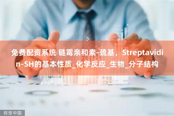 免费配资系统 链霉亲和素-巯基，Streptavidin-SH的基本性质_化学反应_生物_分子结构